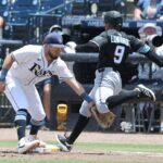 Rays Marlins
