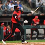 luis robert