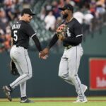 White Sox Astros