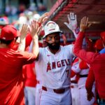 Jo Adell