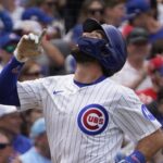 cubs