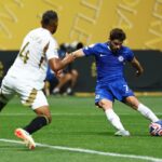 chelsea neto