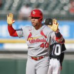 cardinals