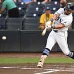 tampa bay rays