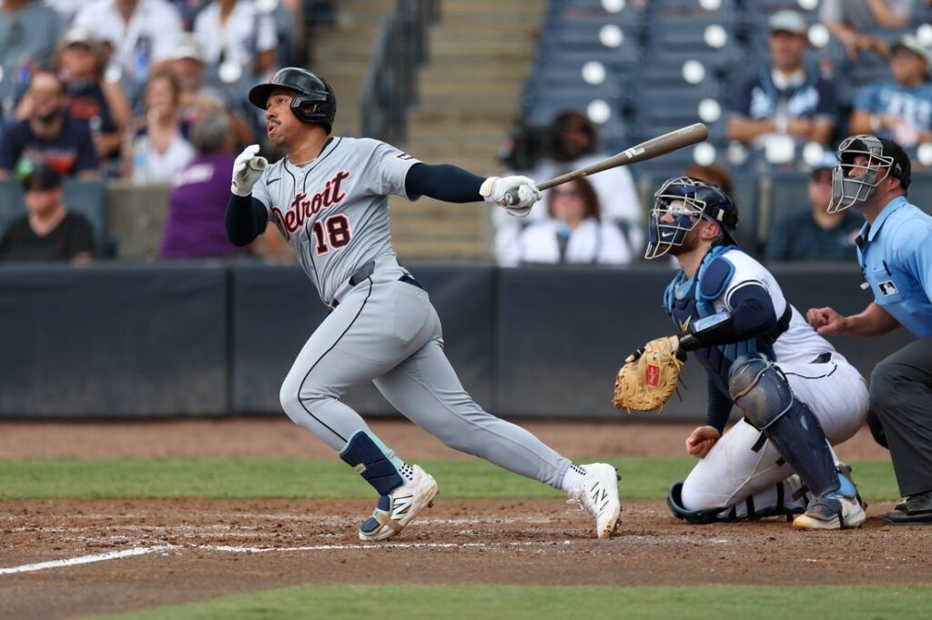 Tigers, Rays