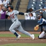 Tigers, Rays