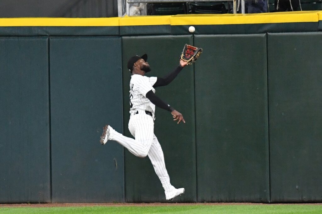 Luis Robert