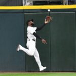 Luis Robert