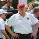 donald trump tee