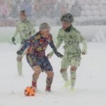 MLS snow