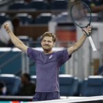 David Goffin