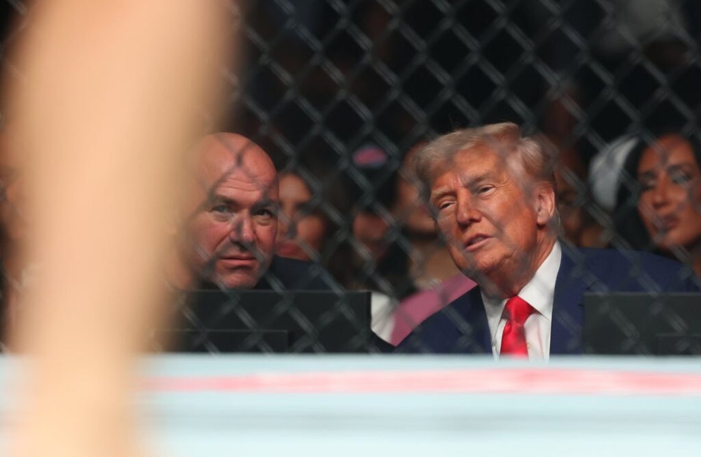 donald trump ufc