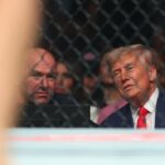 donald trump ufc