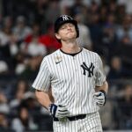 DJ LeMahieu reacts