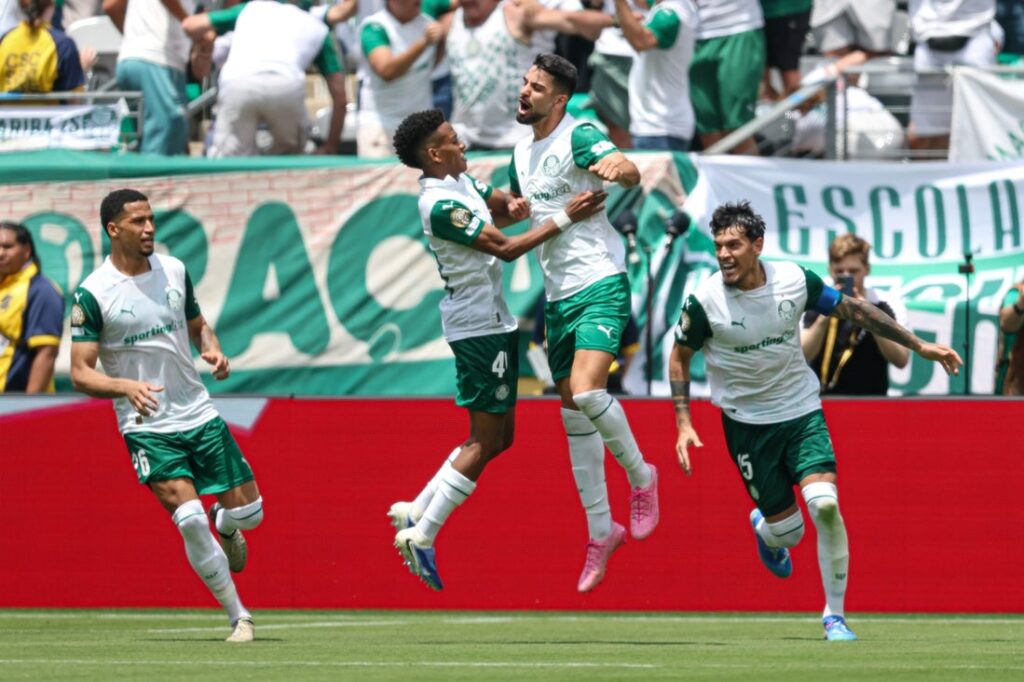 Palmeiras Estevao