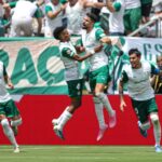 Palmeiras Estevao