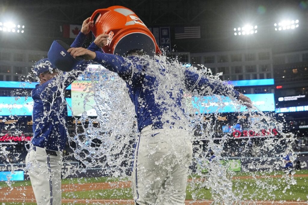 blue jays, Yankees