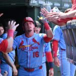 cardinals cubs