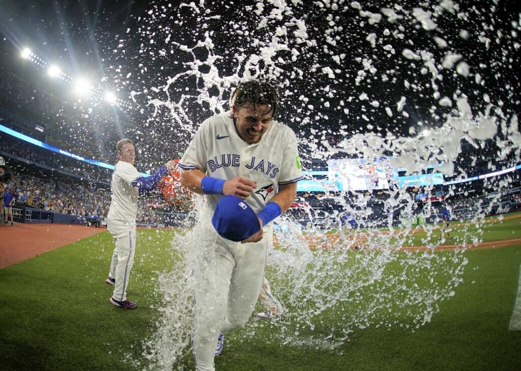 blue jays