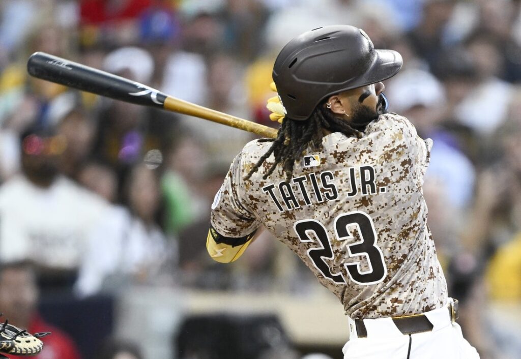 fernando tatis