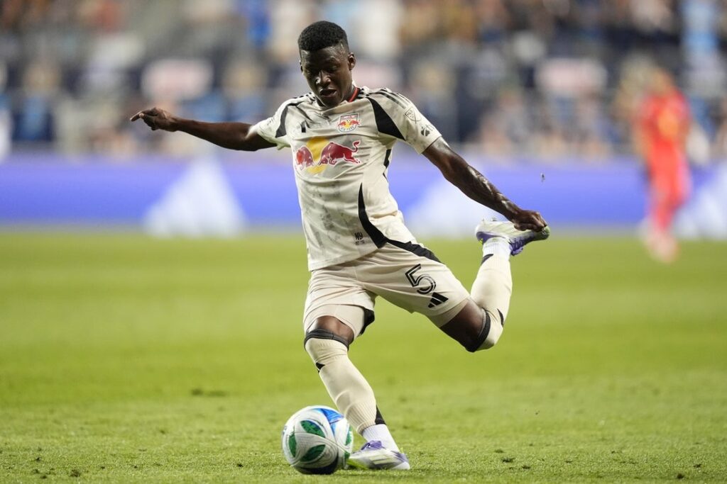 new york red bulls