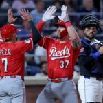 cincinnati reds