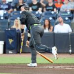 tampa bay rays
