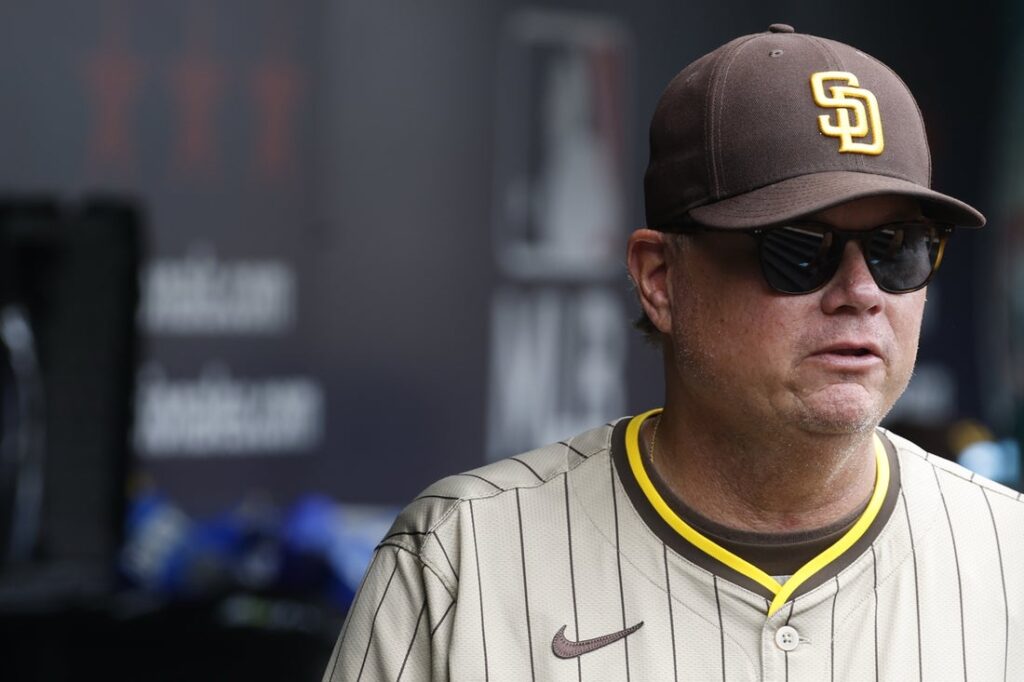 mike shildt