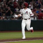 arizona diamondbacks