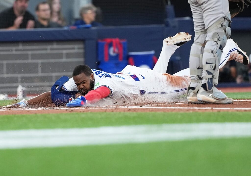 blue jays