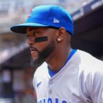 cubs brujan