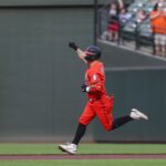 orioles