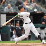 chicago white sox