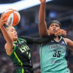 minnesota lynx