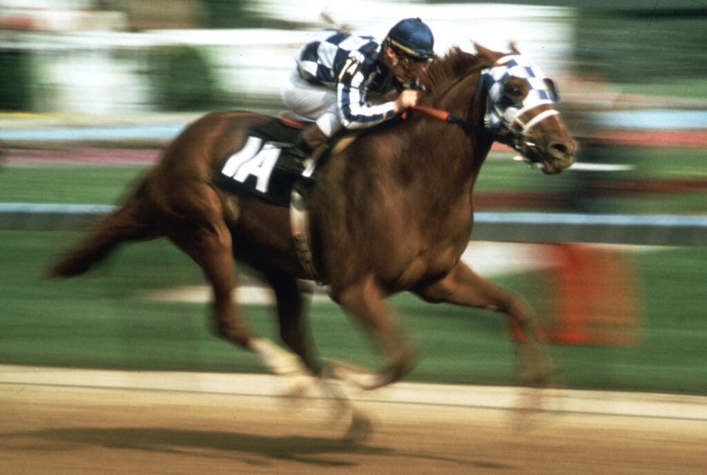 ron turcotte