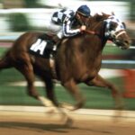 ron turcotte