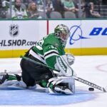 anton khudobin stars