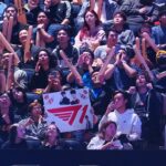 league of legends, fans
