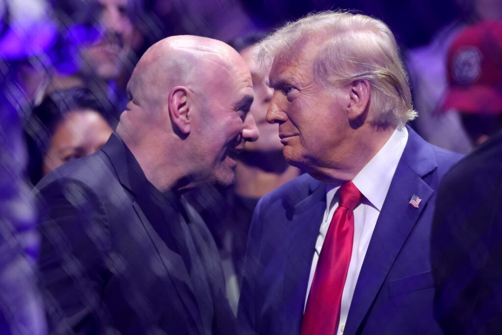 dana white donald trump