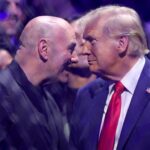 dana white donald trump
