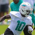 tyreek dolphins