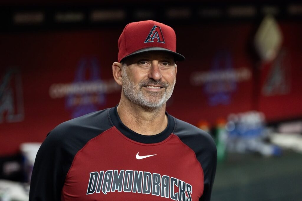 Arizona Diamondbacks manager