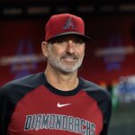 Arizona Diamondbacks manager