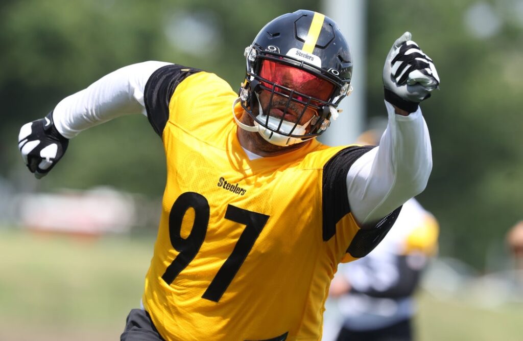 cam heyward