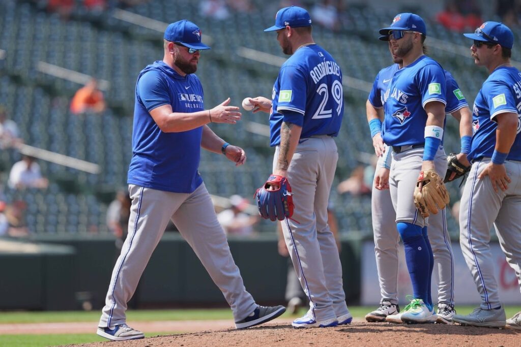 blue jays