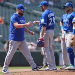 blue jays
