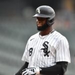 luis robert jr