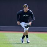 aaron judge