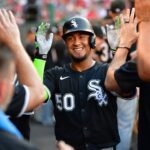 chicago white sox