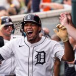 tigers